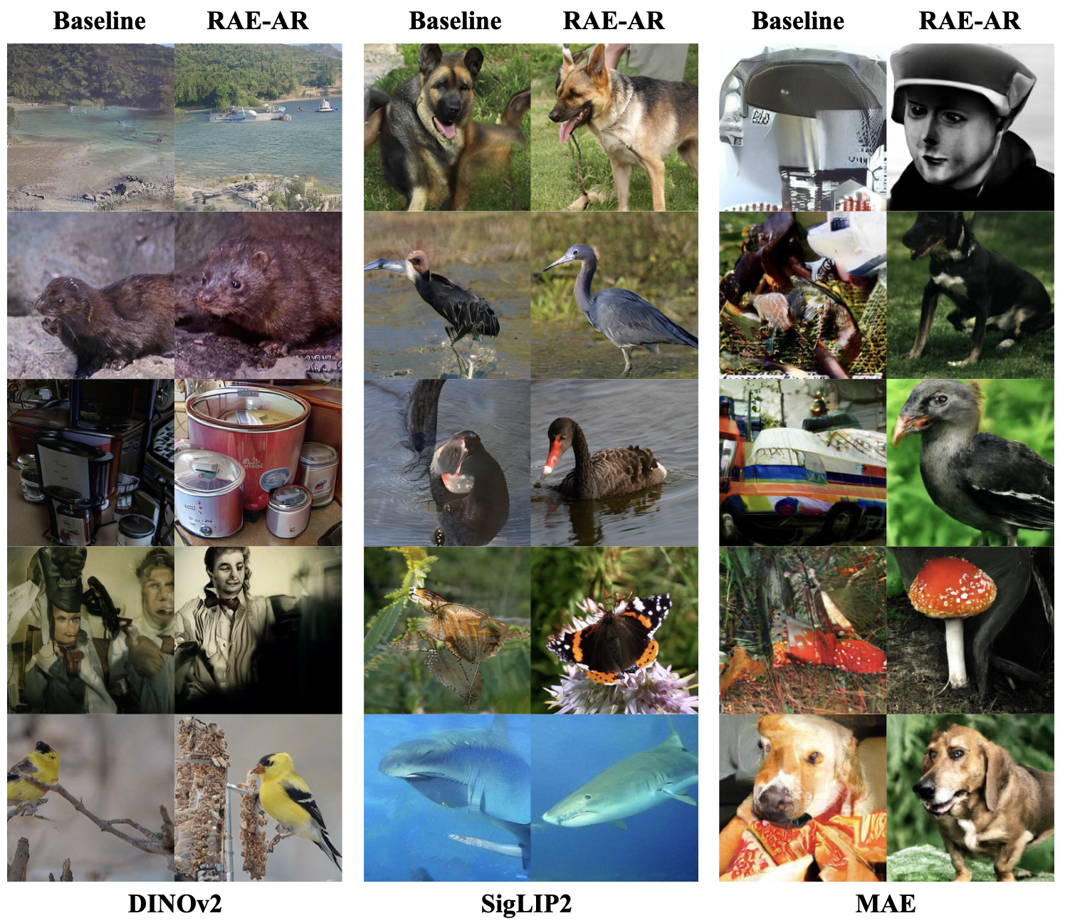 Qualitative results of RAE-AR